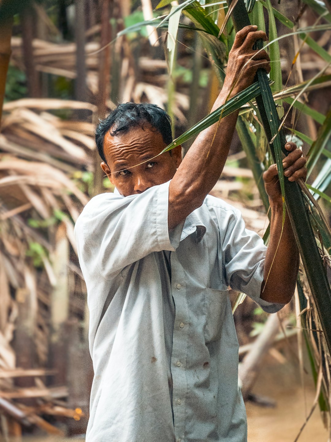 man carrying green bamboo