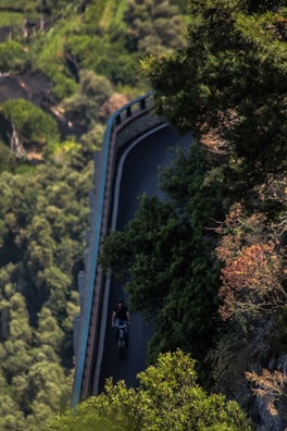 A cyclist riding on a winding road through a lush landscape.