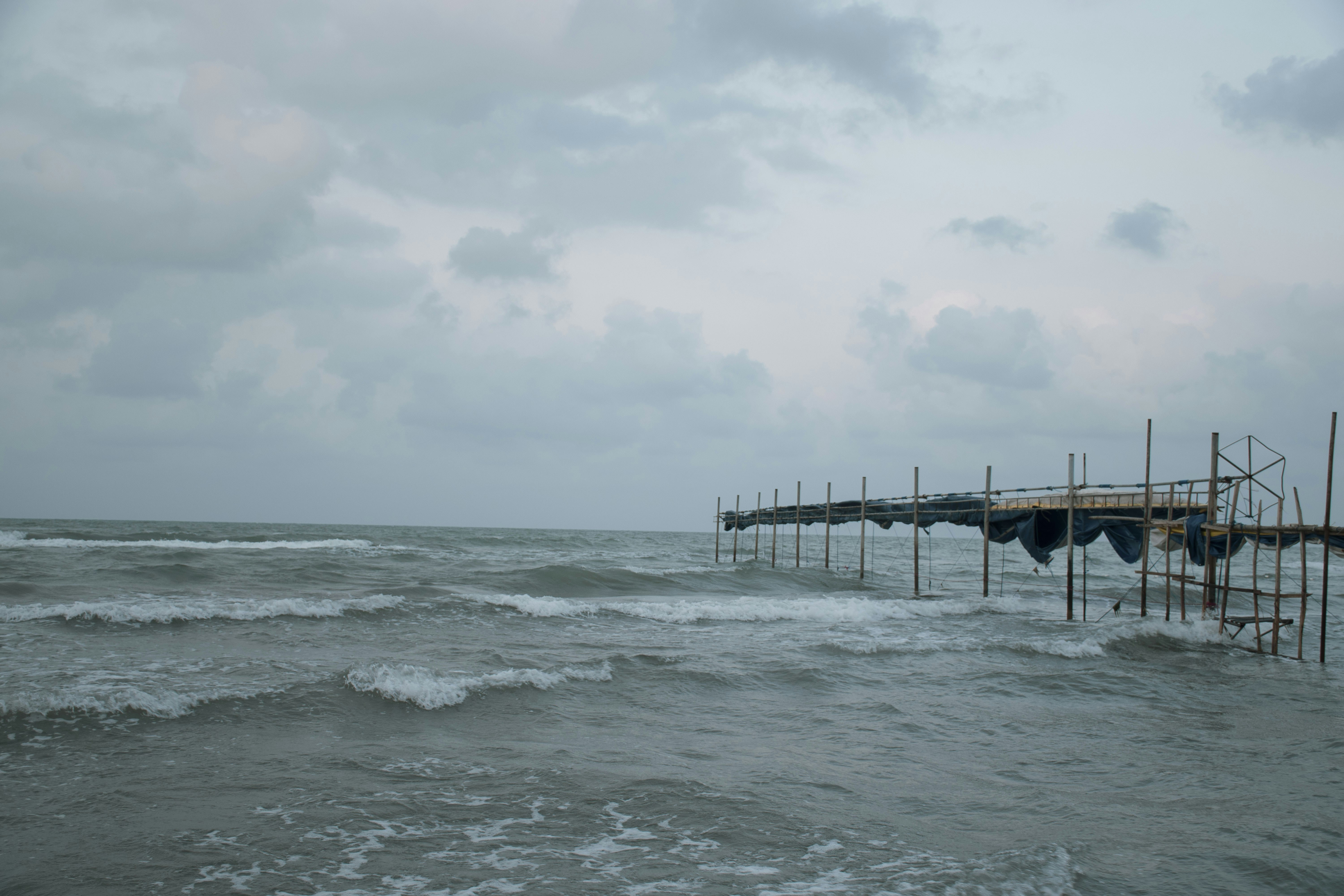Photo by alyshirali