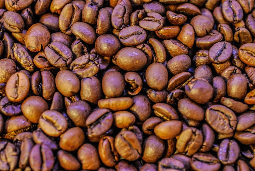 close-up photography brown coffee beans