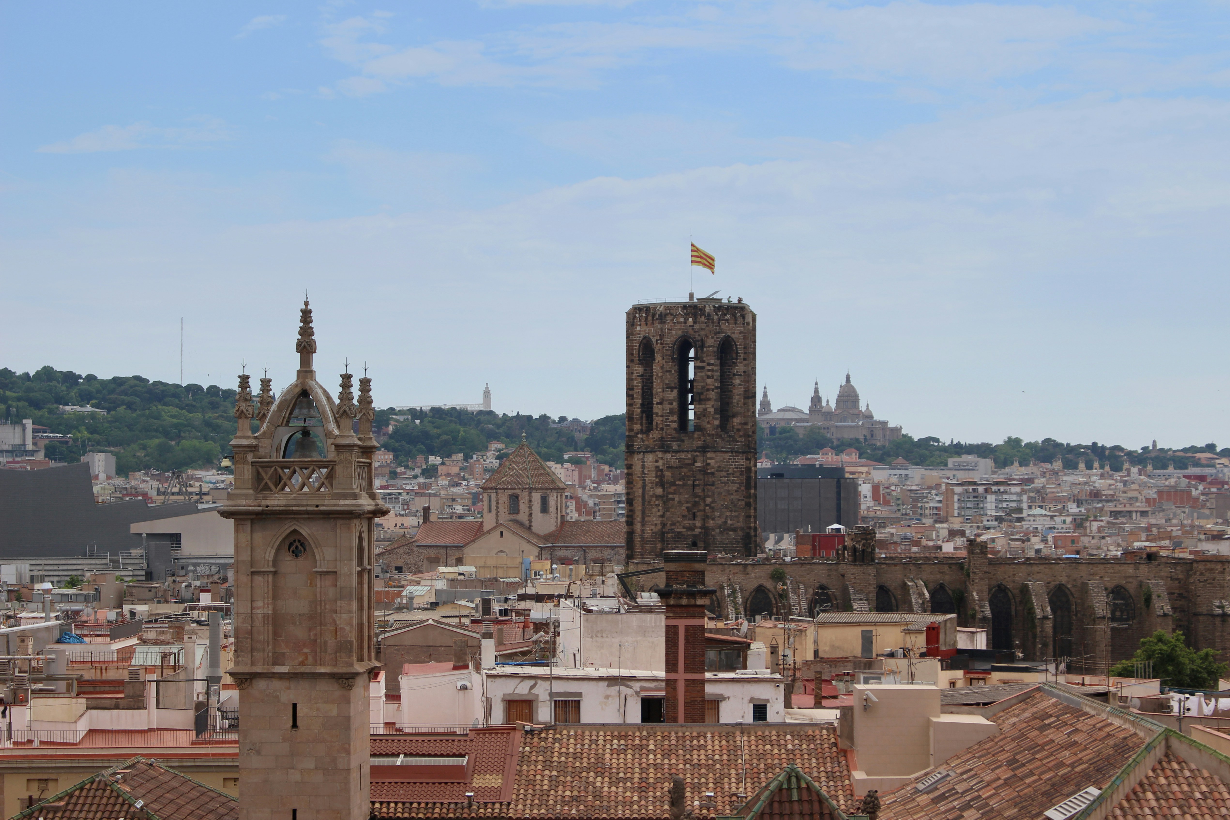 aerial photo of concrete houses