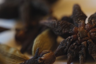 A close-up view of various spices, including star anise and cardamom pods. The textures of the spices are highlighted, with a shallow depth of field creating a blurred background.