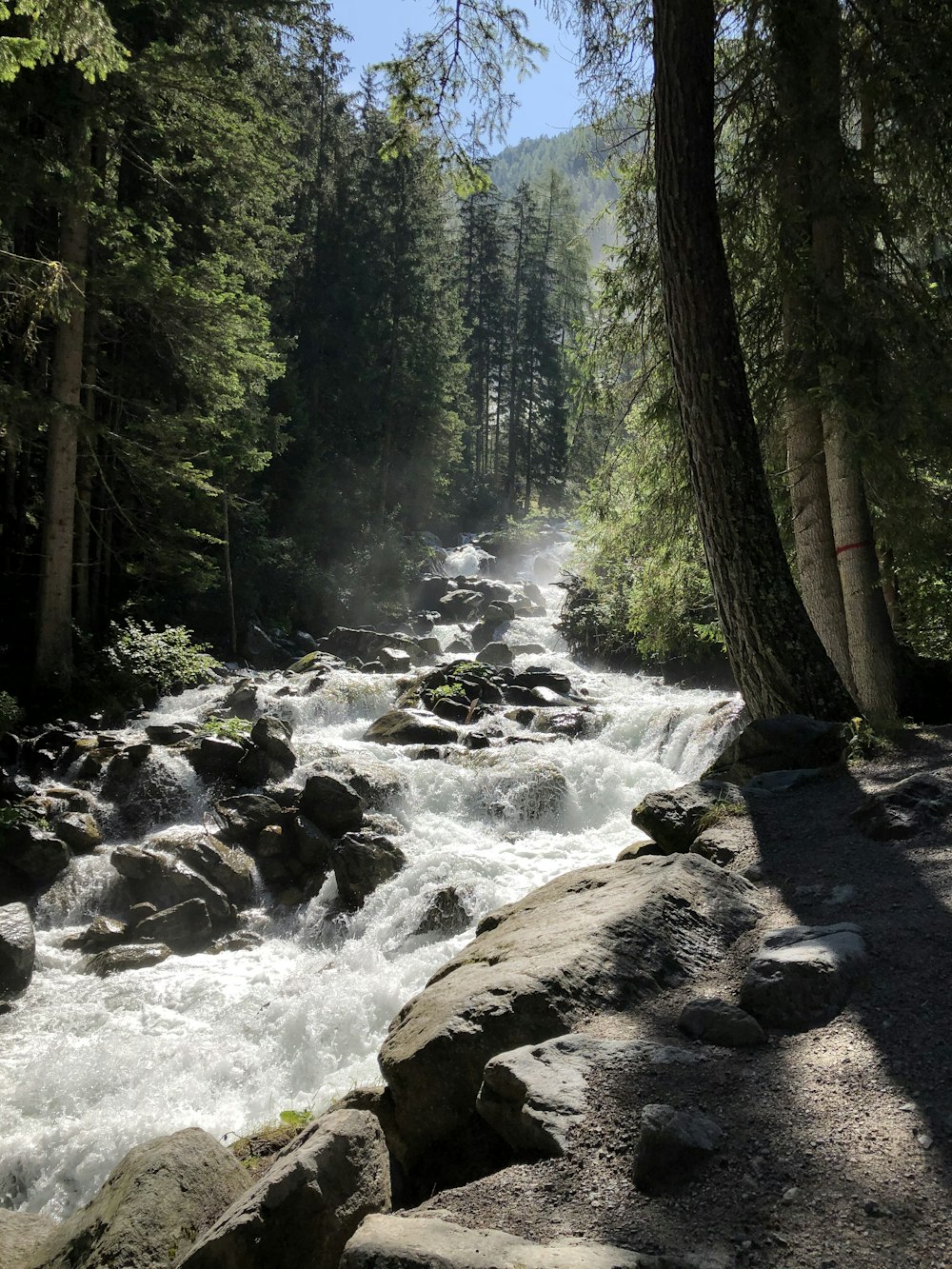 body of water during daytime