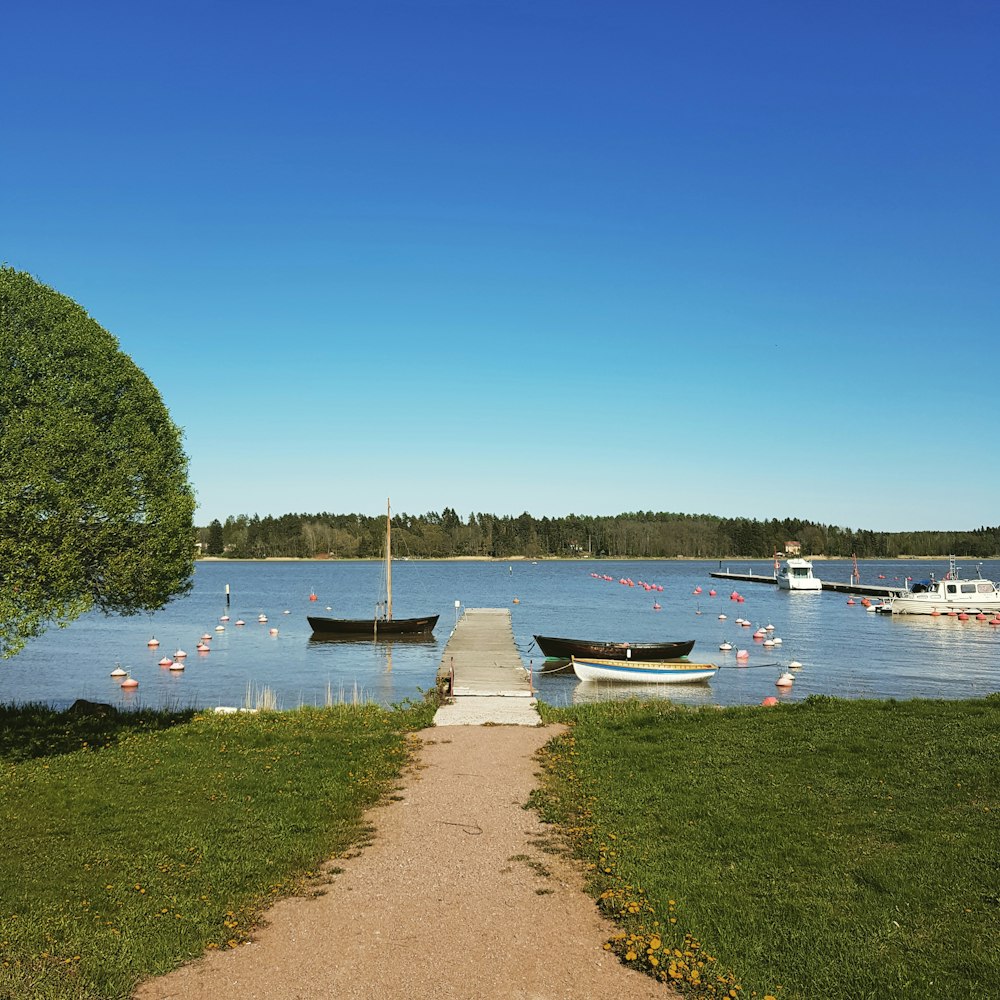 gray wooden dock with boats