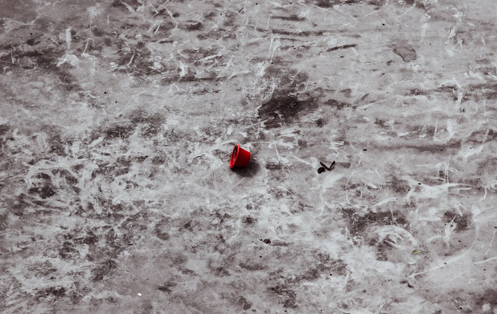 Ein roter Regenschirm, der auf einem schmutzigen Boden sitzt