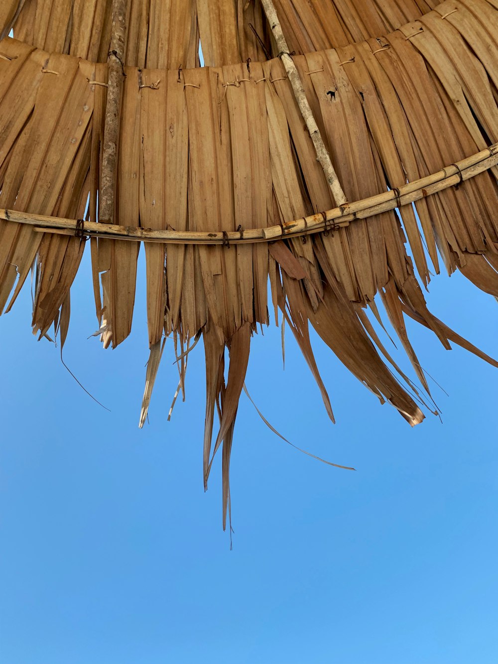 brown straw hat