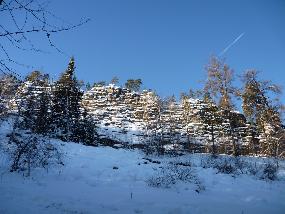 uma encosta coberta de neve com árvores e um avião no céu