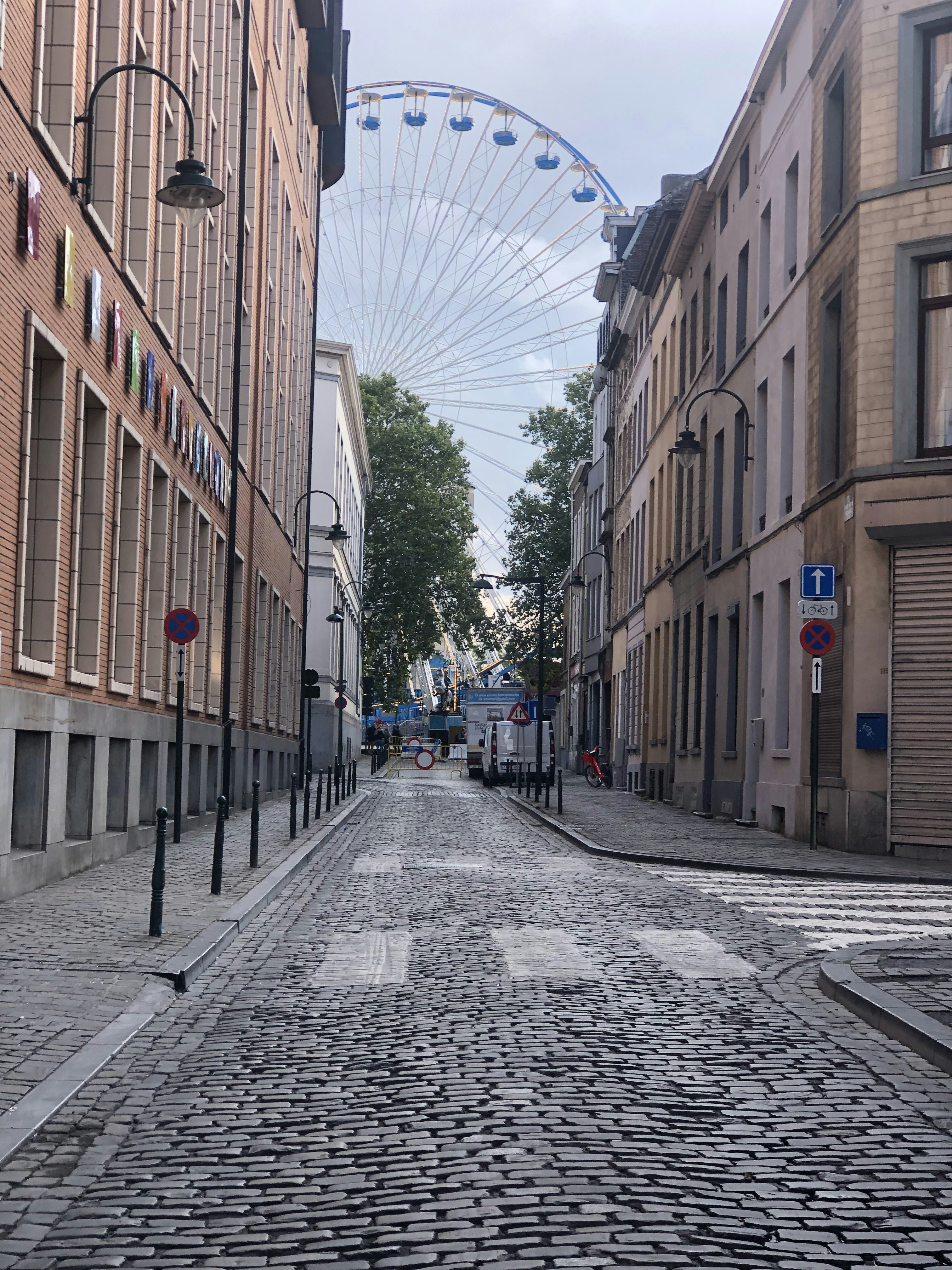 ferris wheel near building