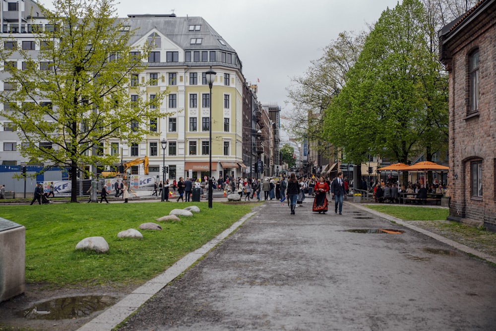 people lot near trees and buildings during daytime