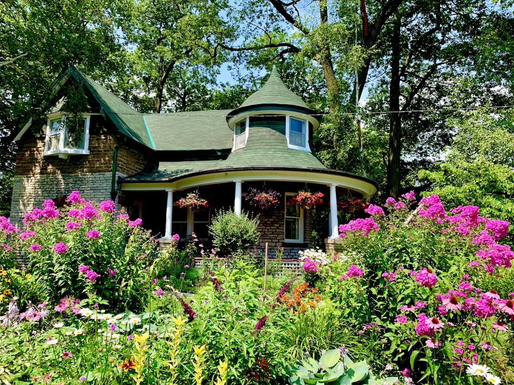 pink and yellow flowers beside green house at daytime