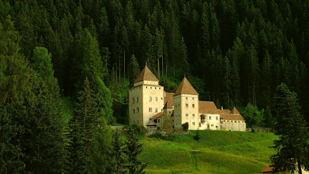 beige castle near trees