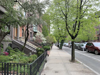 Sunlit street view of Putnam Avenue lined with brownstone buildings and small shops.