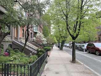 A vibrant neighborhood street lined with brownstone buildings and local shops.