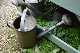 A collection of metal watering cans rests on the ground, surrounded by small green plants and pebbled paths. The cans are weathered, indicating frequent use. Their aged, rustic appearance contrasts with the lush greenery and textured surface.
