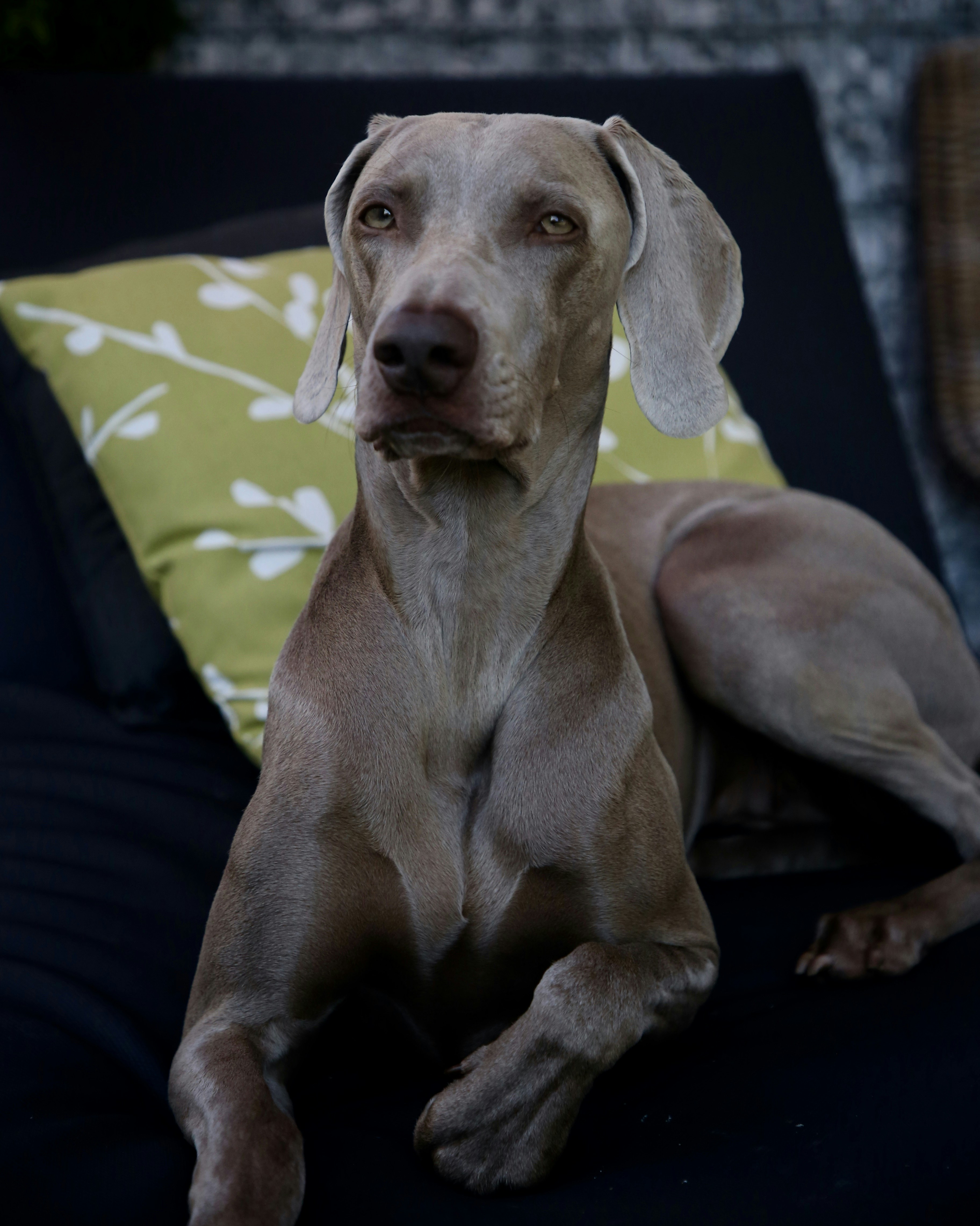 Photo by nathalie_spehner