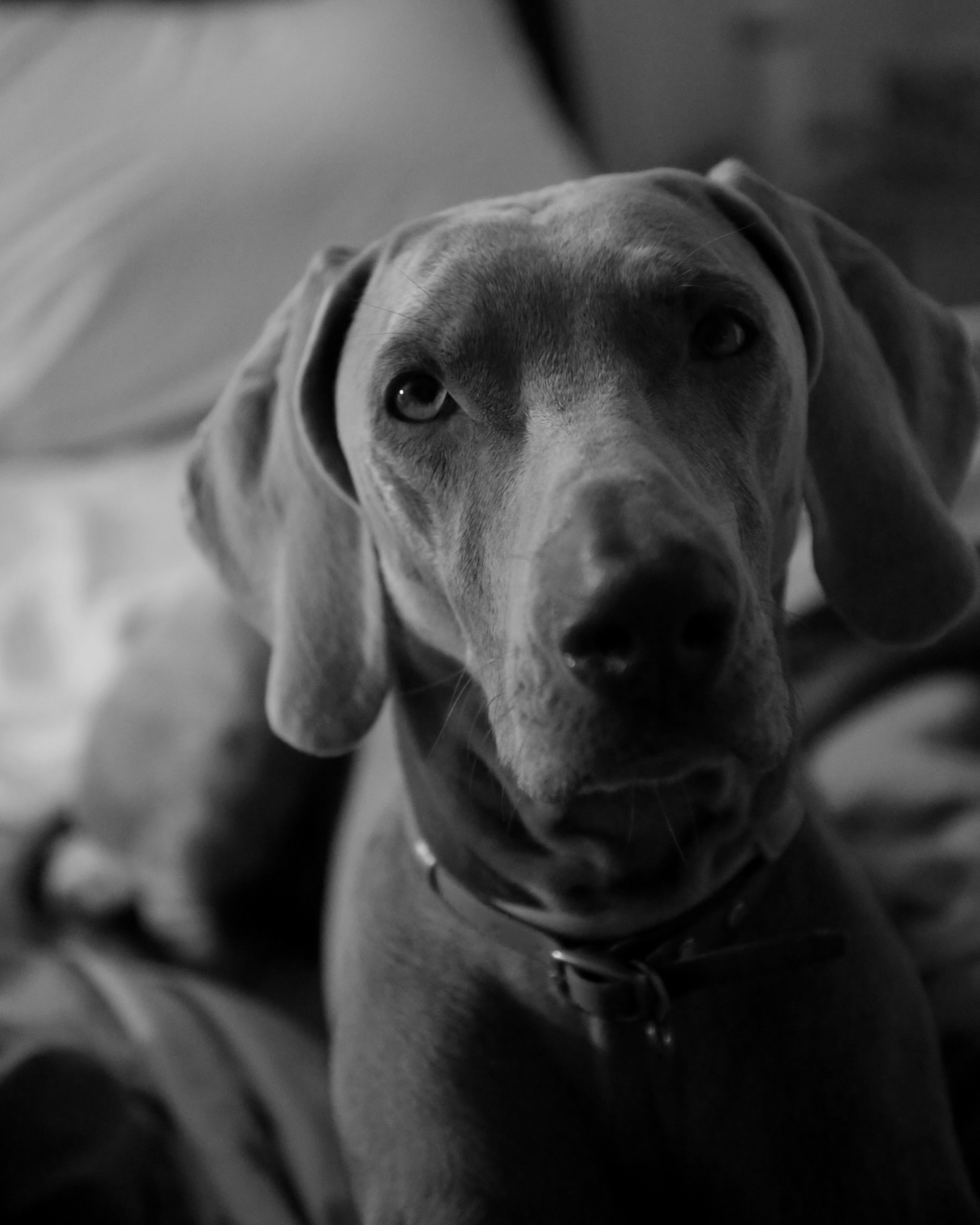 Photo by nathalie_spehner