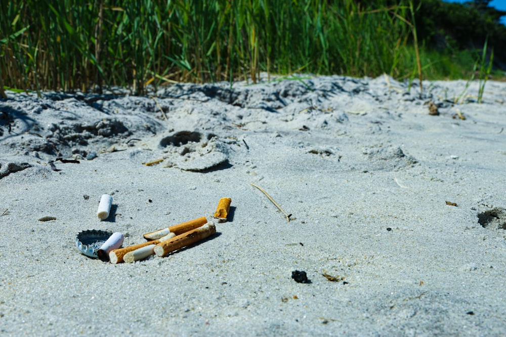 cigarette butts lot