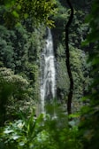 A serene waterfall surrounded by lush greenery in the Sul Fluminense region