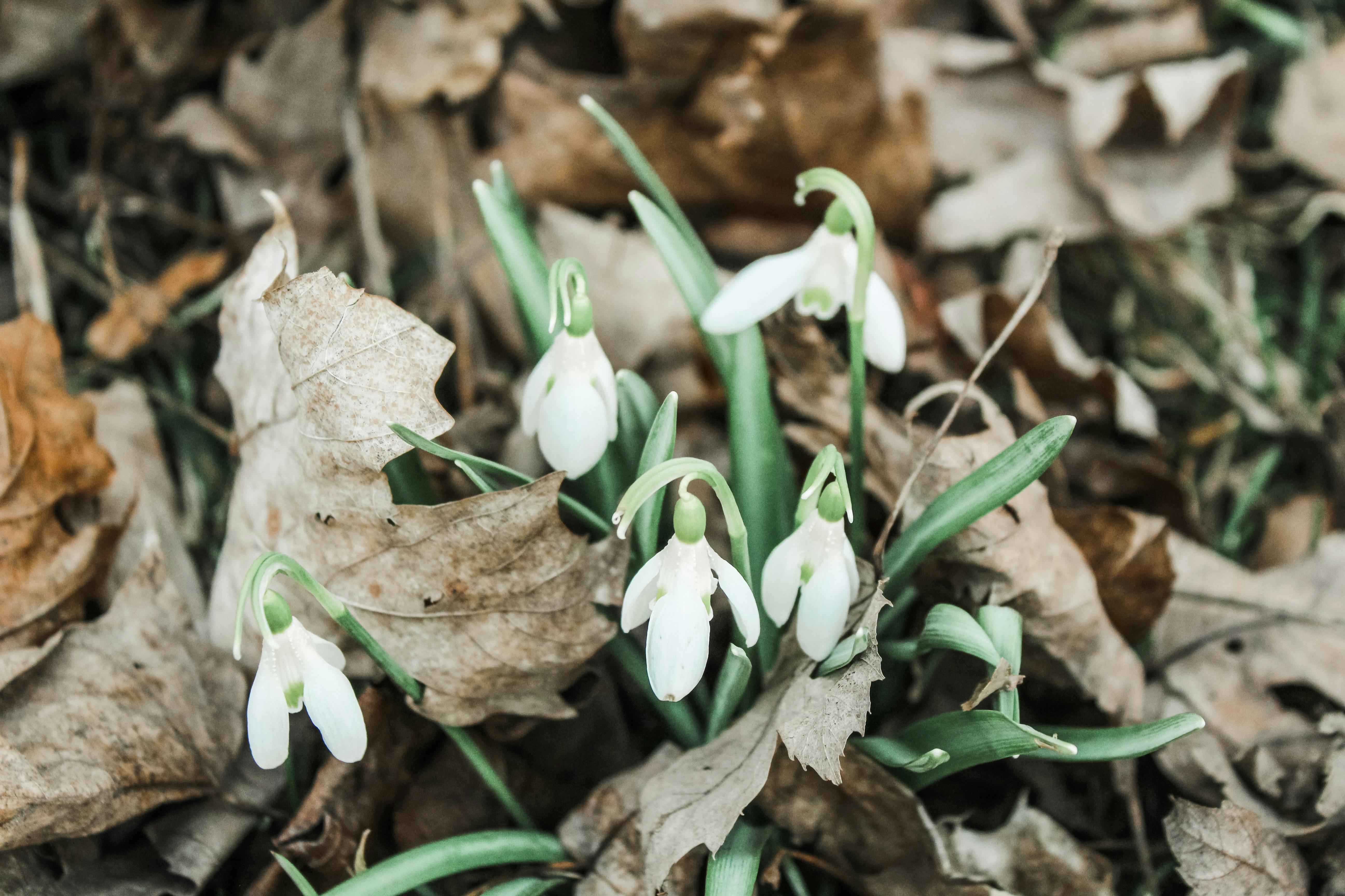 6/14/2020: Emergence