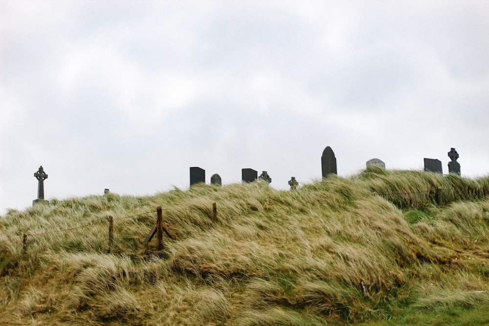 tombstones on hill