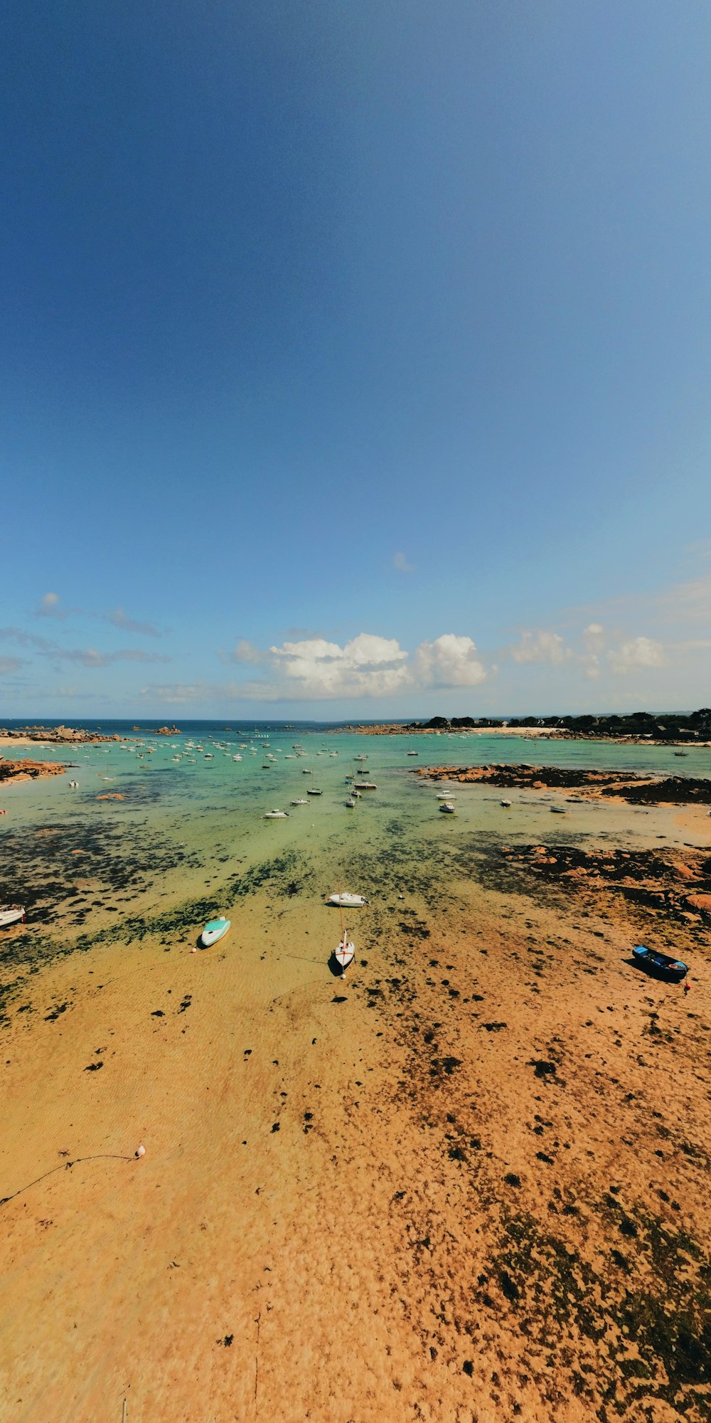 four assorted-color boats in sea shore under blue sky