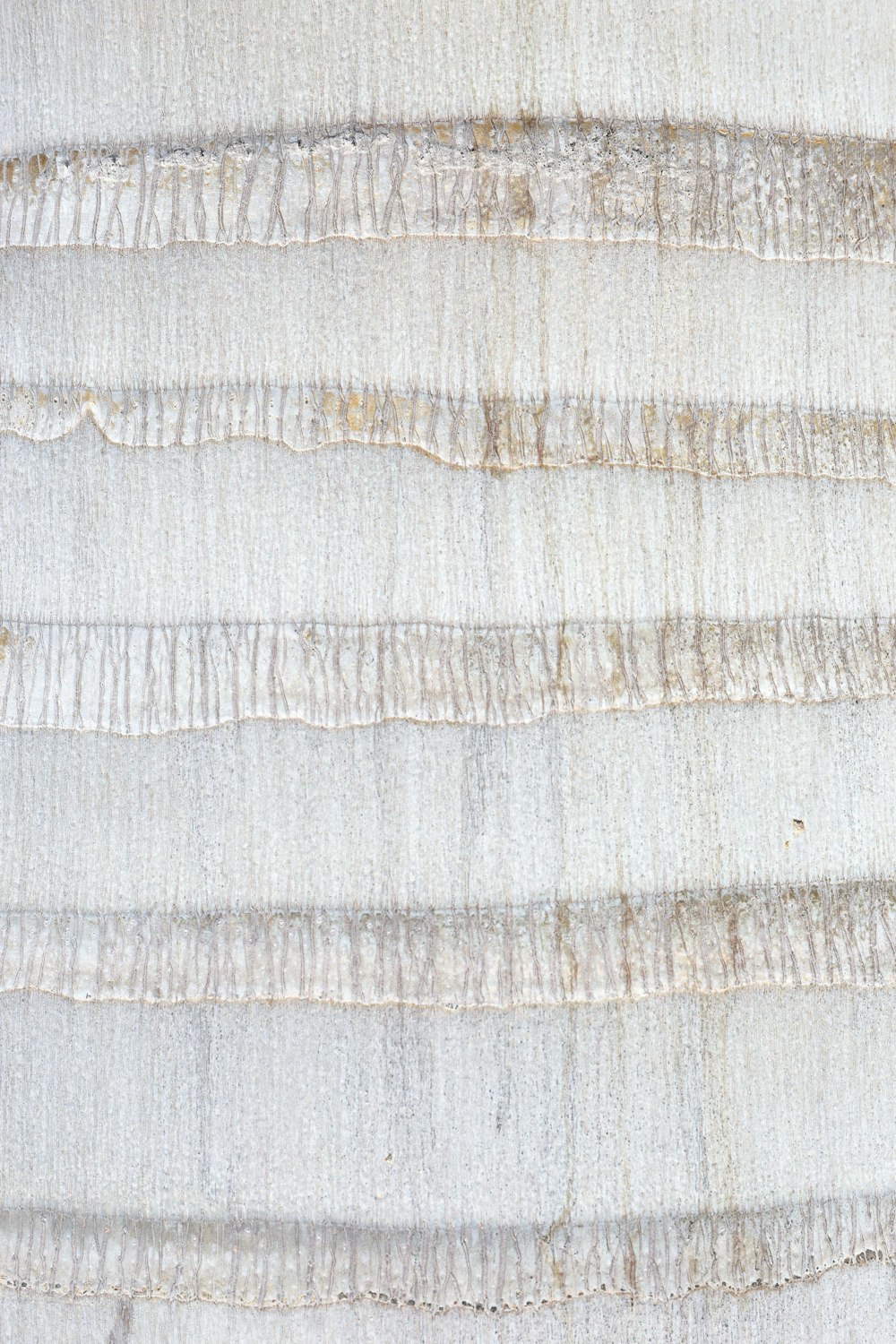 a close up of a piece of cloth