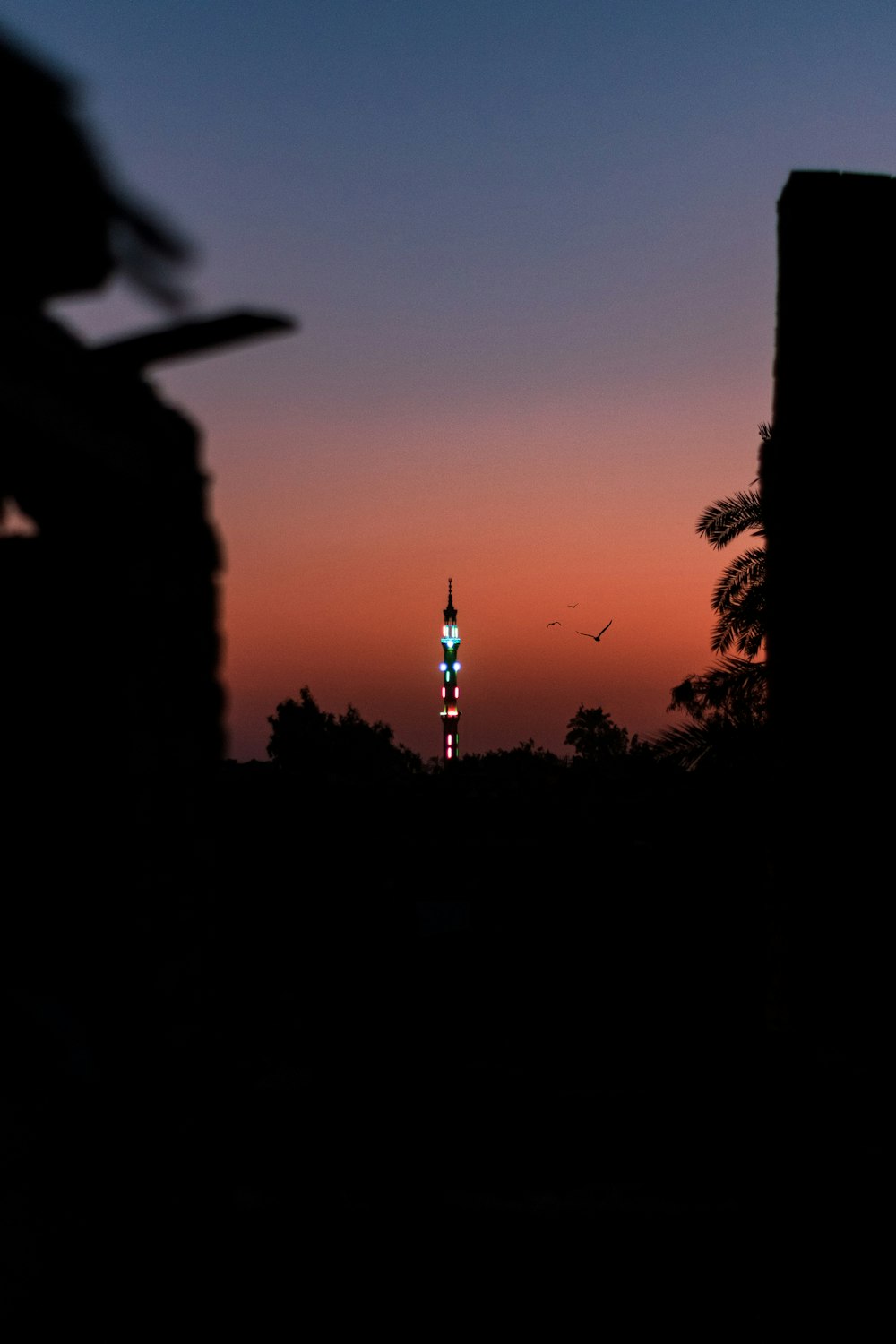 silhouette of trees and tower during nighttime