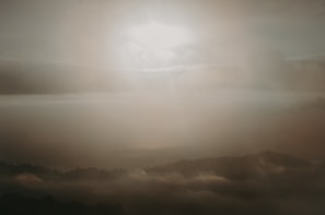 A misty páramo landscape with soft light filtering through dense fog.