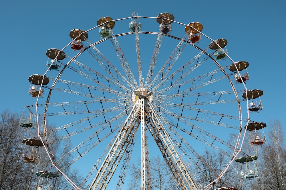 white and brown Ferris wheel photo