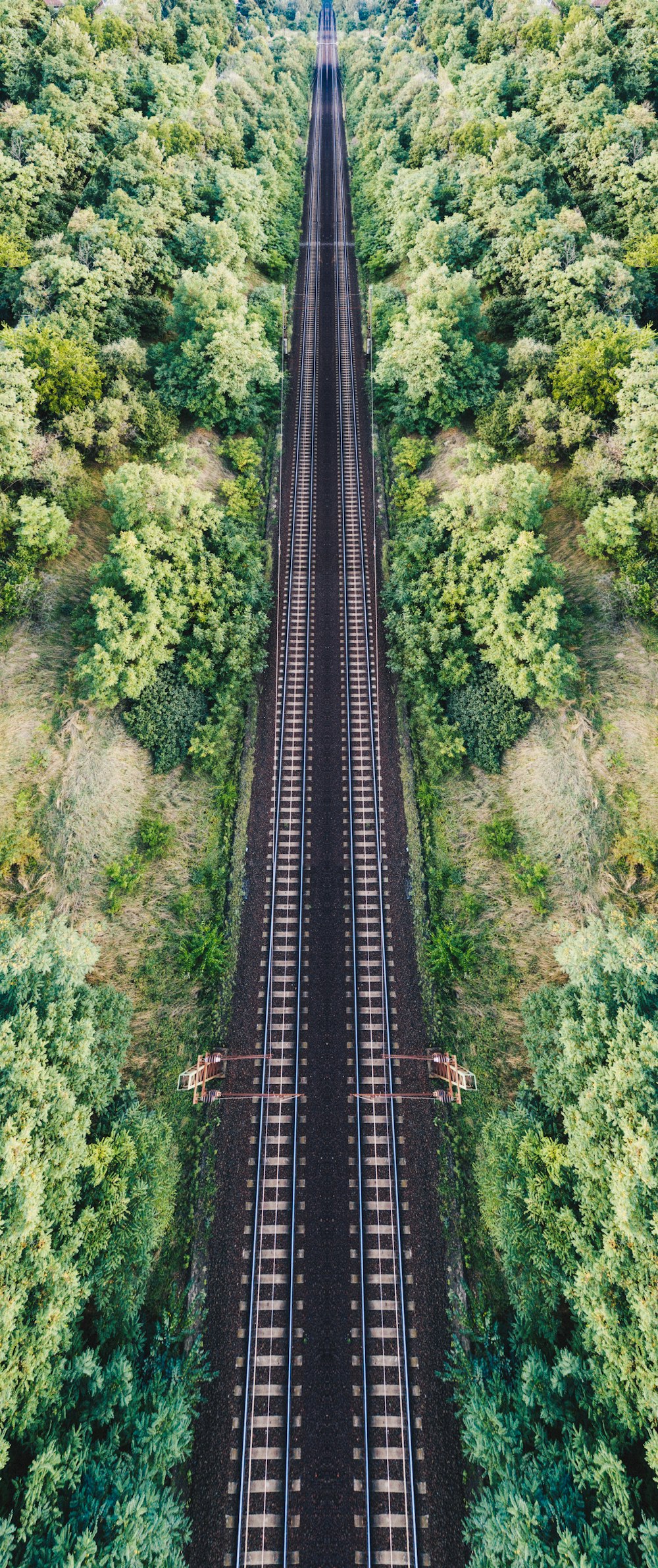 train railway near trees during daytime