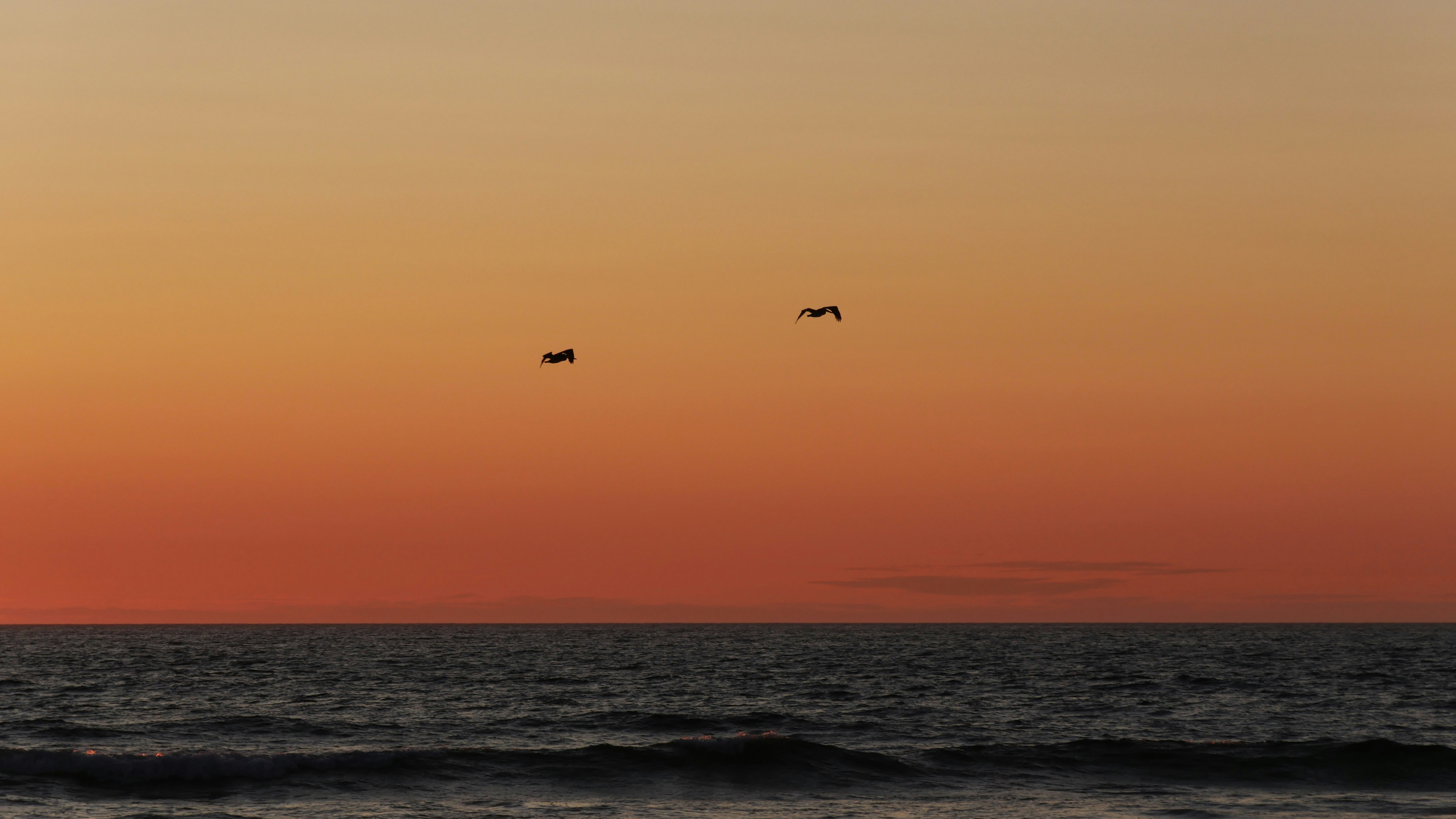 Photo by dynamiclx