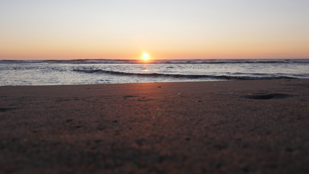 seashore during daytime