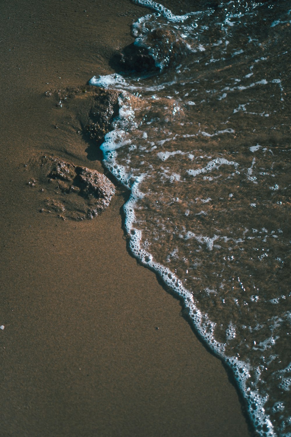 closeup photo of seashore