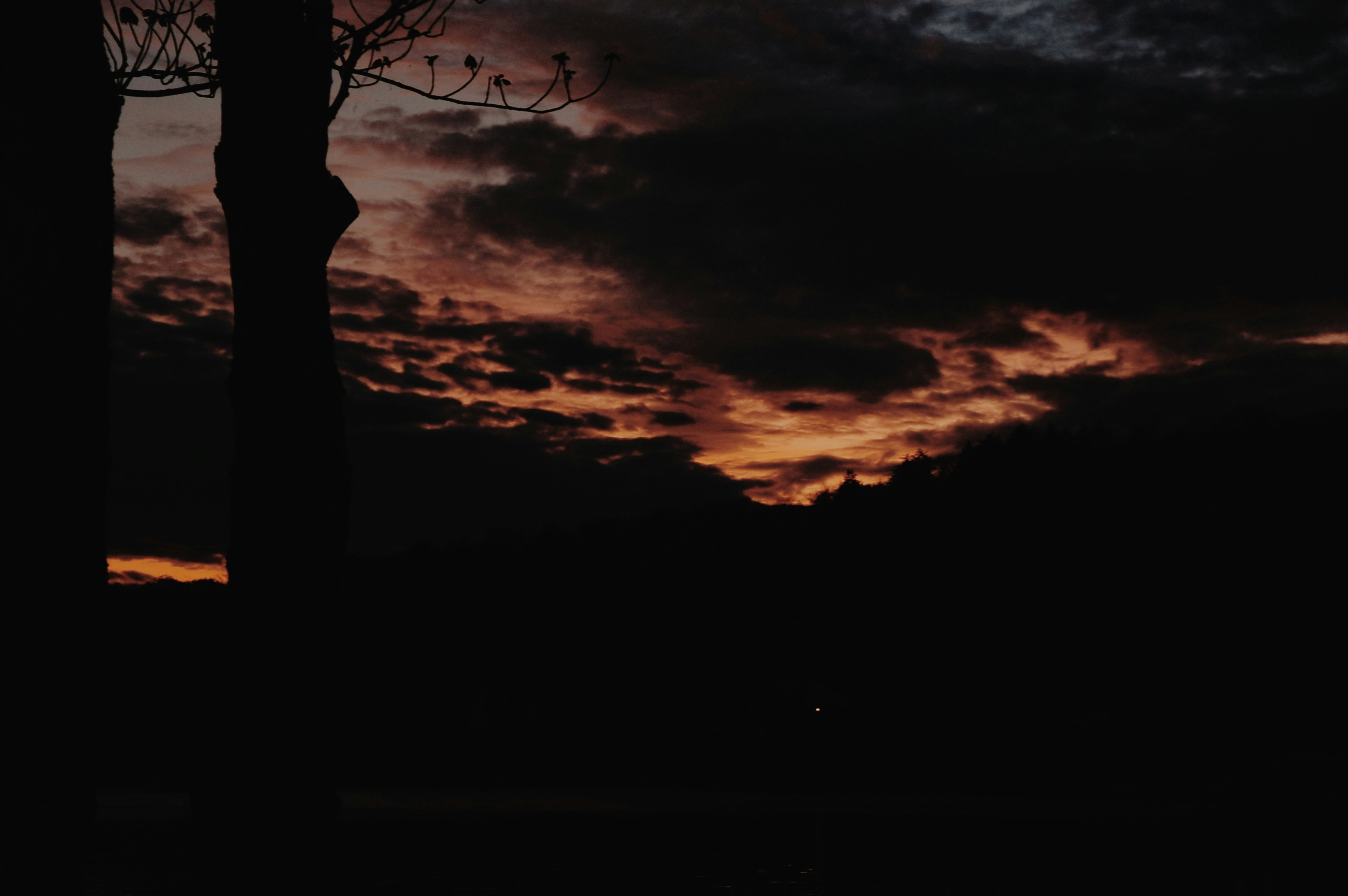 Photo by john_silliman