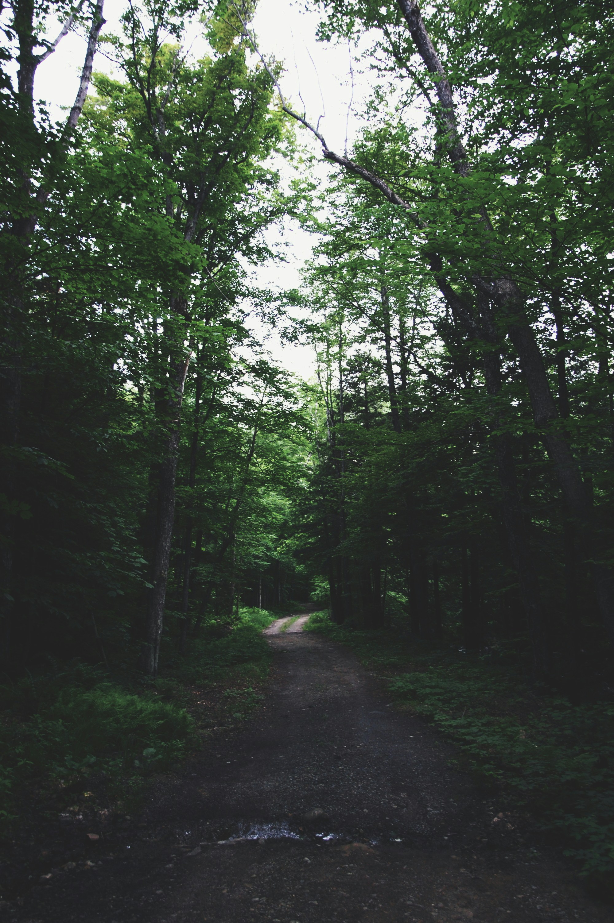 Photo by john_silliman