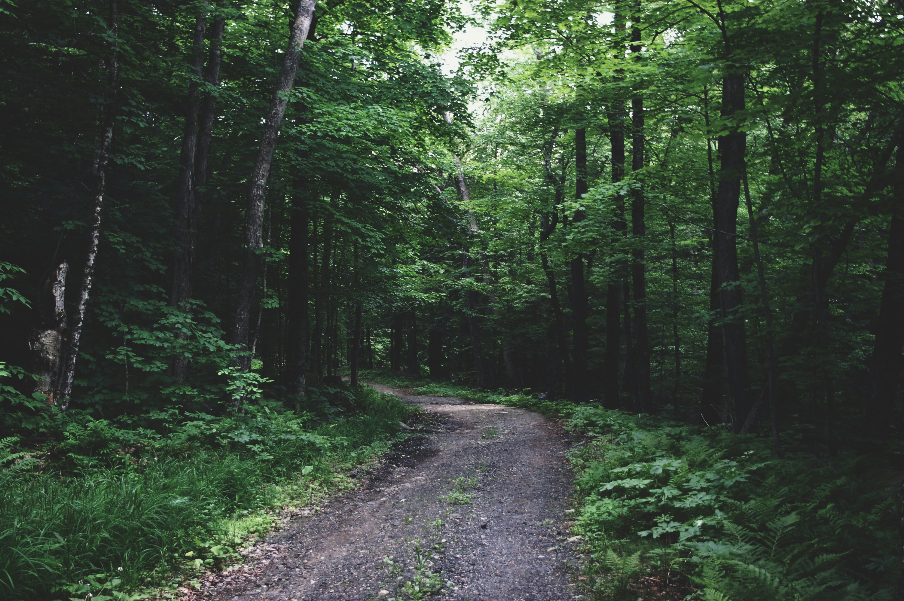 Photo by john_silliman