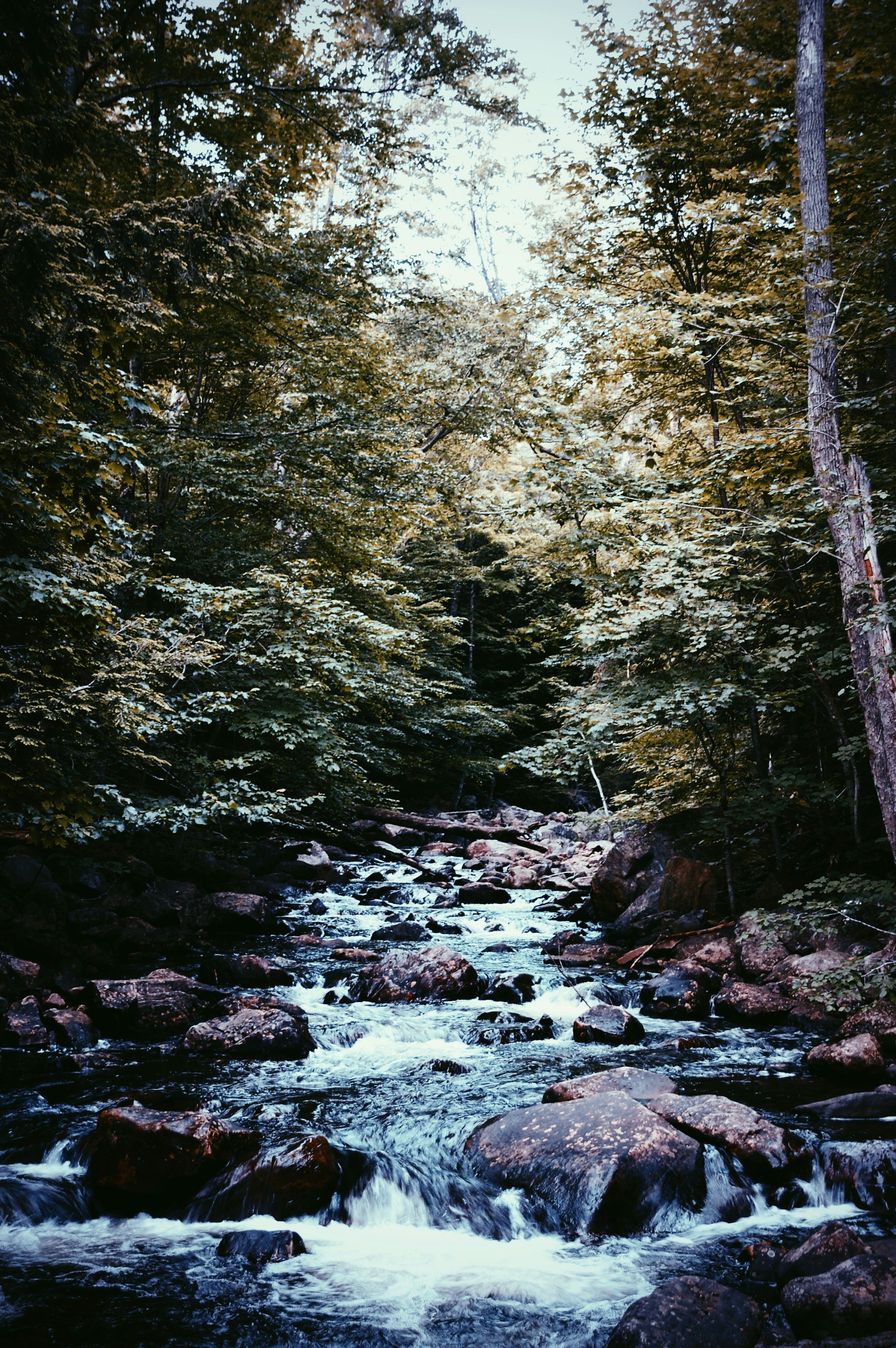 Photo by john_silliman