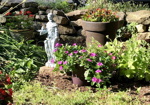 A serene garden scene with a figure patiently tending to a flourishing pentacle-laden plant under a soft golden light.