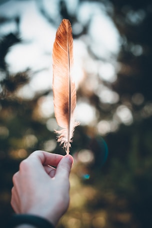 A single hand holds a brown feather against a backdrop of blurred trees and sunlight creating a warm, serene atmosphere. The light filters through the feather, highlighting its delicate structure.