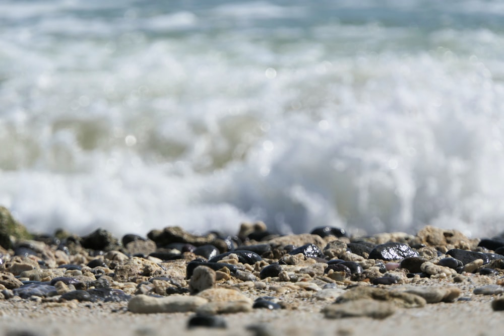 grey rocks on sea shore