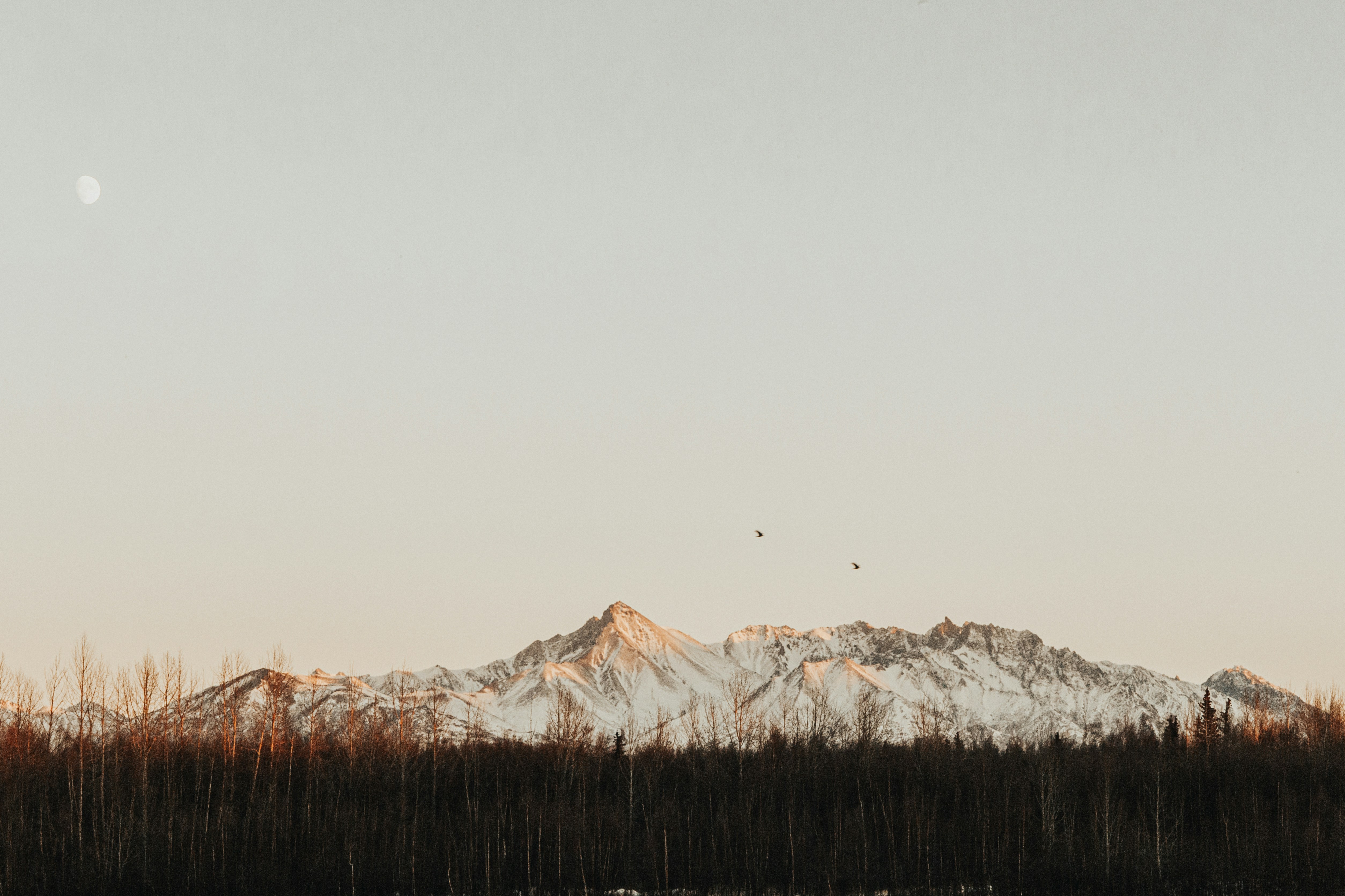 Balances | 2 best free balance, wallpaper, background and outdoor