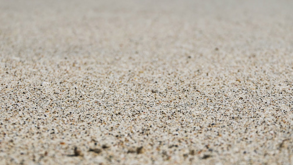 un gros plan d’une surface de sable avec de petits points