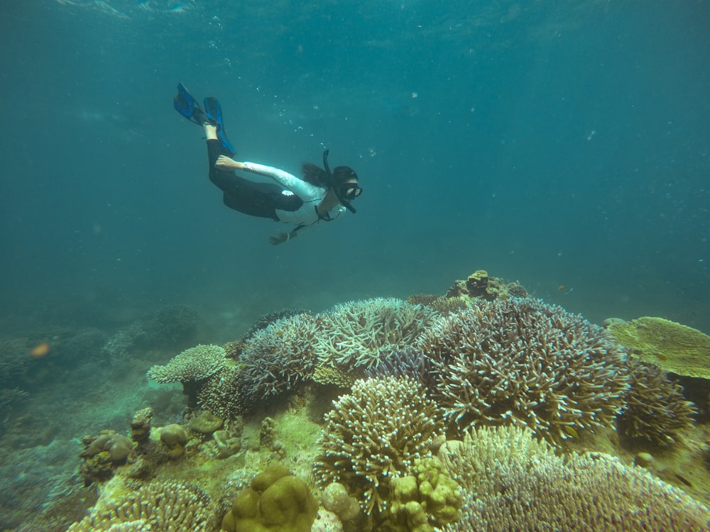 woman diving underwater near corals