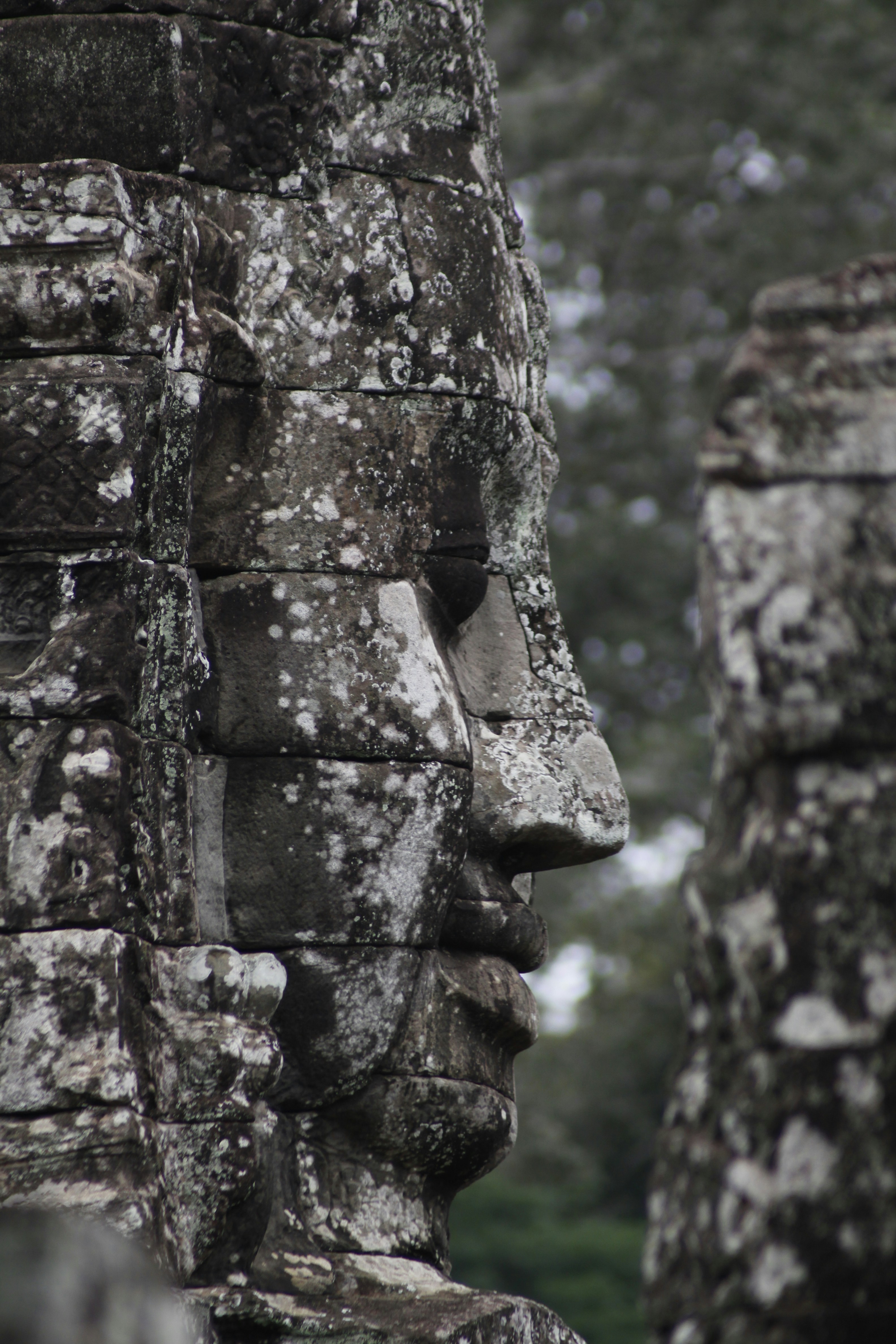 A snapshot of an ancient civilization