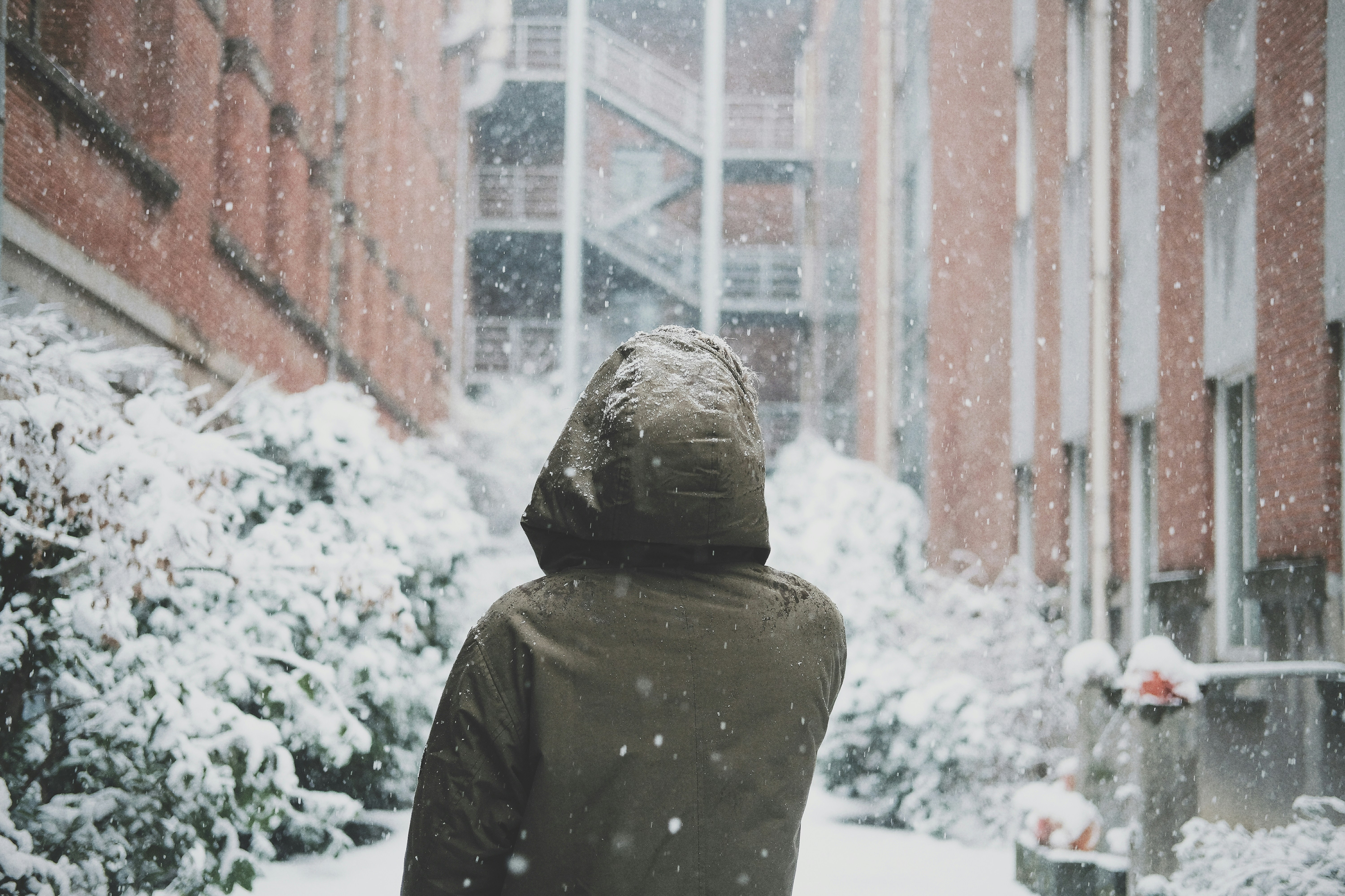 Photo by kennyzhang29