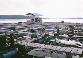 An aquaculture farm is situated on a calm body of water with wooden platforms interspersed with square netted sections. A person wearing a traditional Asian conical hat is seated on one of the platforms, possibly engaged in farm work. Stacks of trays or containers are visible, likely used for cultivating aquatic organisms. In the background, there is a small structure with a blue roof and a partially visible forest across the water.
