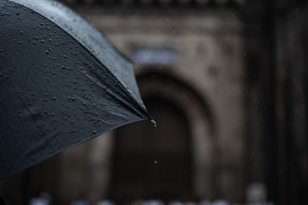 黒い傘の写真