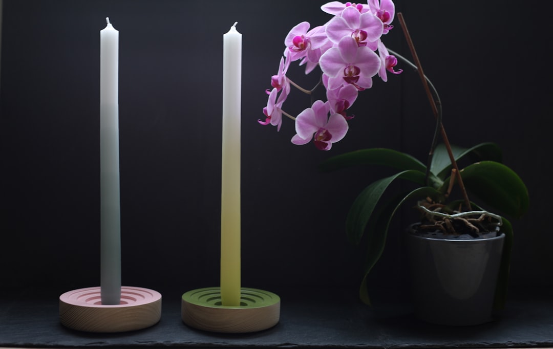 two taper candles beside pink orchids