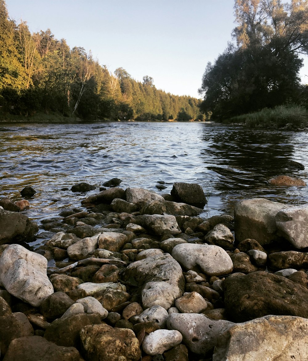 black and gray rocks besides river during daytime