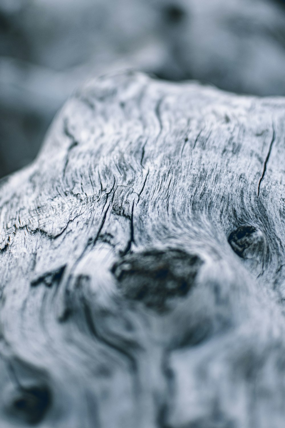 brown driftwood